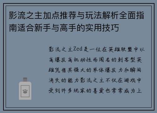 影流之主加点推荐与玩法解析全面指南适合新手与高手的实用技巧